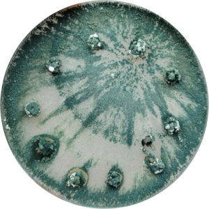 Inscripción general